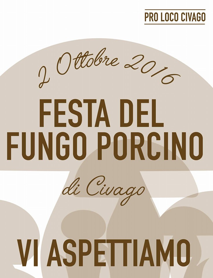 Festa del fungo civago