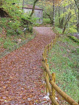 Il mulino di Civago in autunno (Willer Barbieri)